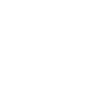 logo-Bluestone